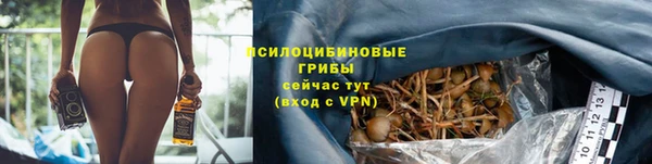 каннабис Бородино